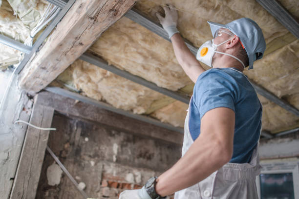 Best Insulation Repair Services  in Plainfield, NJ