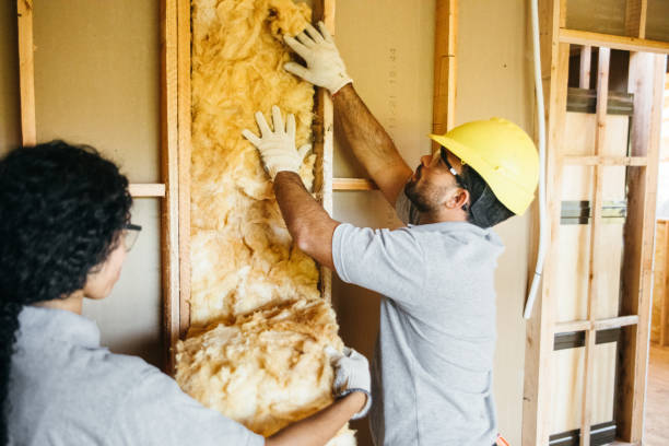 Best Cellulose Insulation  in Plainfield, NJ