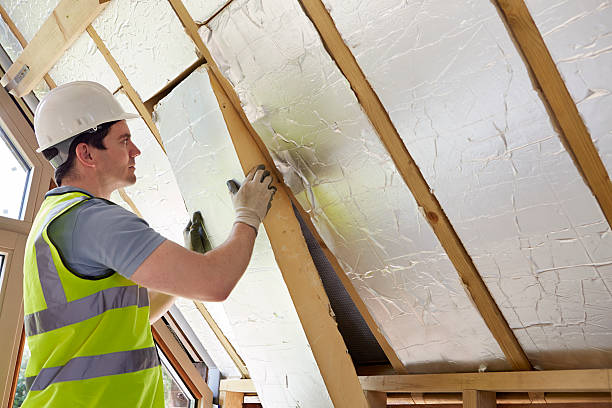 Best Blown-in Insulation  in Plainfield, NJ