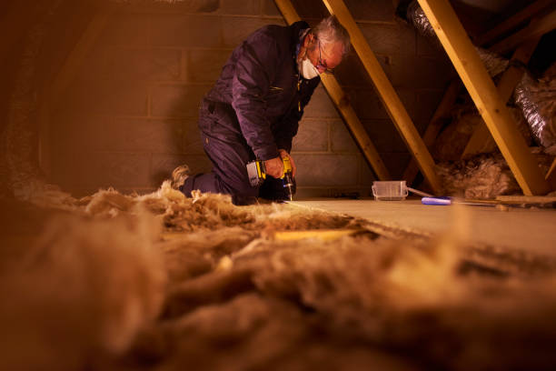 Best Insulation Removal  in Plainfield, NJ